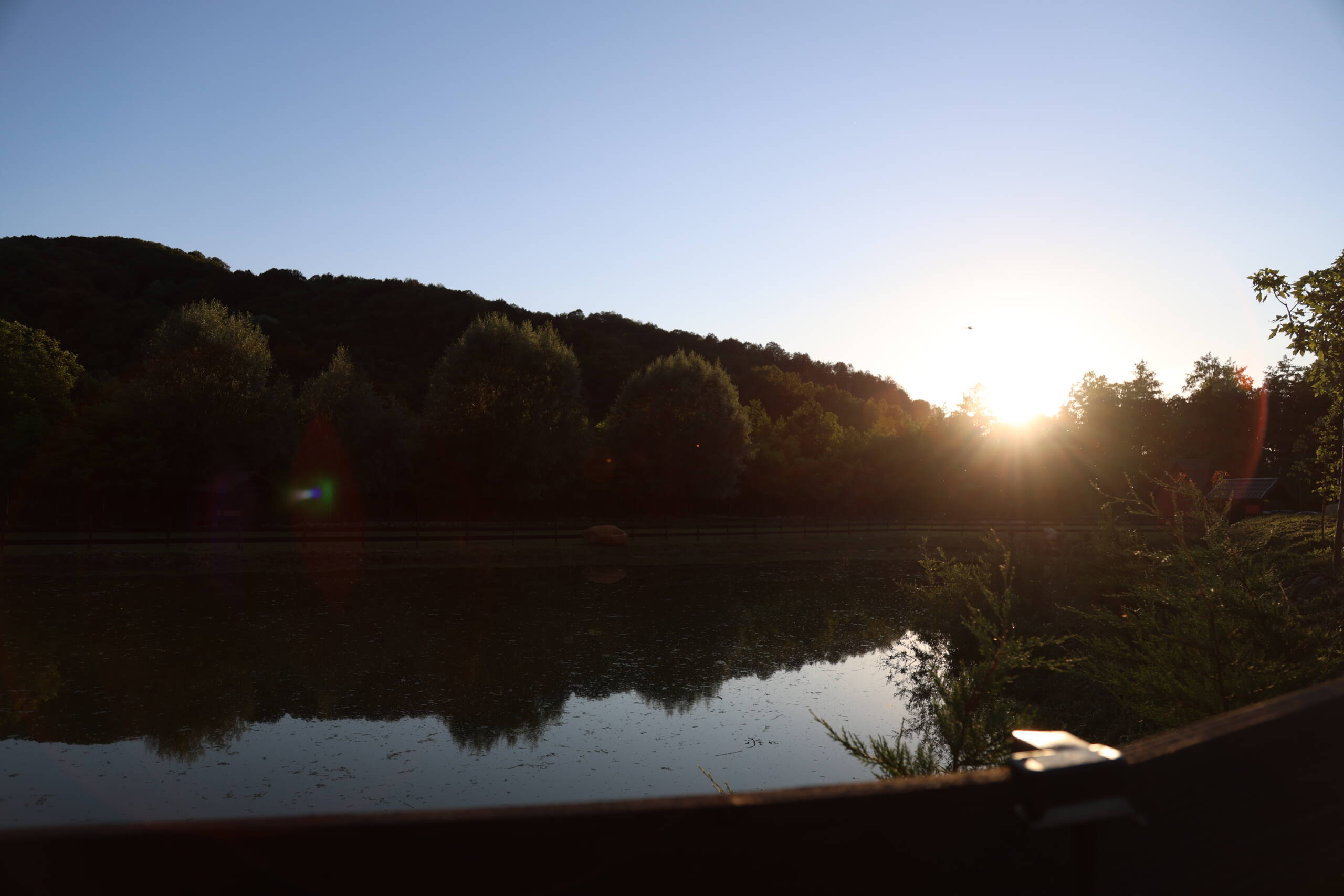 Natură la Calthera